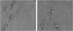 Figure 4 a - LM unit with sodium bicarbonate jet at 250X magnification for a 5-second treatment. b - Same sample at 1000X magnification. Surface roughness in μ (Ra) = 0.063 +/- 0.002.